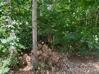 0 White Stone Dr #10, Bostic, NC 28018 photo 6