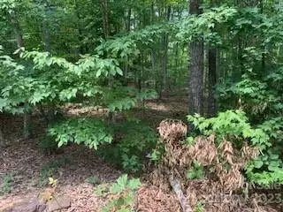 0 White Stone Dr #10, Bostic, NC 28018 photo 15