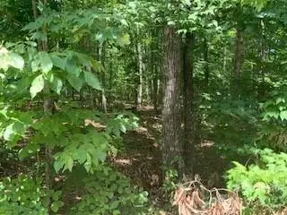 0 White Stone Dr #10, Bostic, NC 28018 photo 11