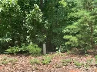 0 White Stone Dr #10, Bostic, NC 28018 photo 4