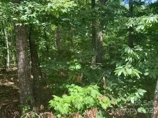 0 White Stone Dr #10, Bostic, NC 28018 photo 12