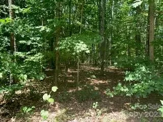 0 White Stone Dr #10, Bostic, NC 28018 photo 9