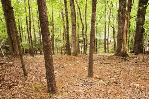364 Stonebridge Ln, Todd, NC 28684 photo 41