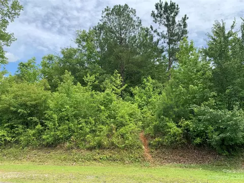 465 Rutledge Dr, Catawba, SC 29704