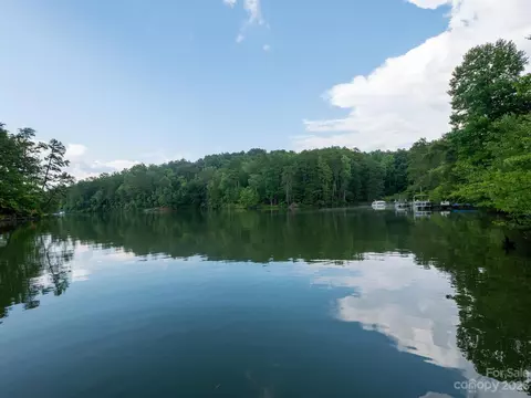78 Cove Ln, Mill Spring, NC 28756 photo 43