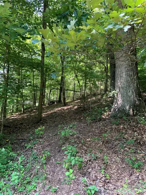 0 Tessentee Rd, Franklin, NC 28734