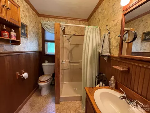 164 Rabbit Run, Marshall, NC 28753 photo 12