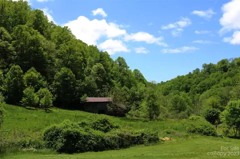 164 Rabbit Run, Marshall, NC 28753 photo 20