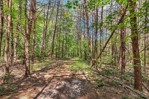 0000 King Stepp Rd, Mill Spring, NC 28756 photo 5
