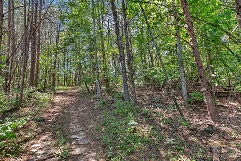 0000 King Stepp Rd, Mill Spring, NC 28756 photo 11