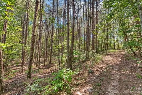 0000 King Stepp Rd, Mill Spring, NC 28756 photo 10