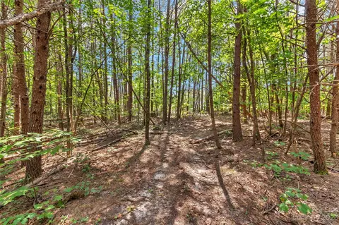 0000 King Stepp Rd, Mill Spring, NC 28756 photo 8