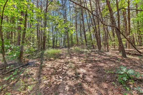0000 King Stepp Rd, Mill Spring, NC 28756 photo 9