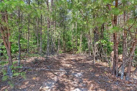 0000 King Stepp Rd, Mill Spring, NC 28756 photo 6