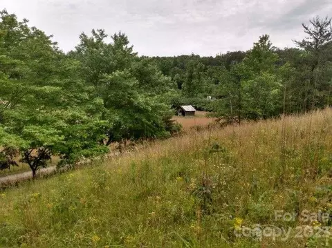 00 Lake Adger Rd, Mill Spring, NC 28756 photo 7