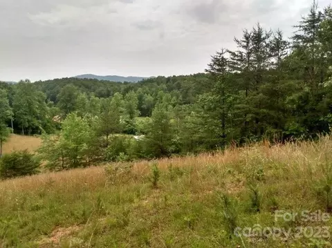 00 Lake Adger Rd, Mill Spring, NC 28756 photo 3