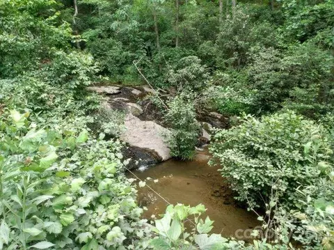 00 Lake Adger Rd, Mill Spring, NC 28756 photo 6