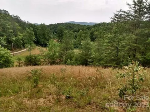 00 Lake Adger Rd, Mill Spring, NC 28756 photo 5