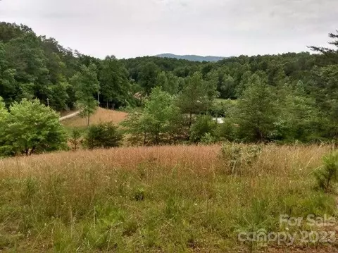 00 Lake Adger Rd, Mill Spring, NC 28756 photo 2