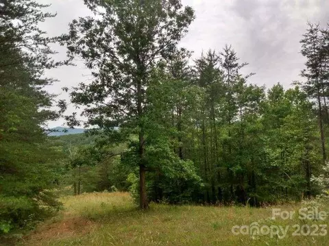 00 Lake Adger Rd, Mill Spring, NC 28756 photo 9