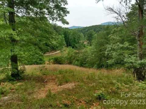 00 Lake Adger Rd, Mill Spring, NC 28756 photo 4