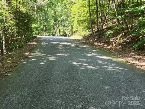 Weaver Lane, Lake Lure, NC 28746