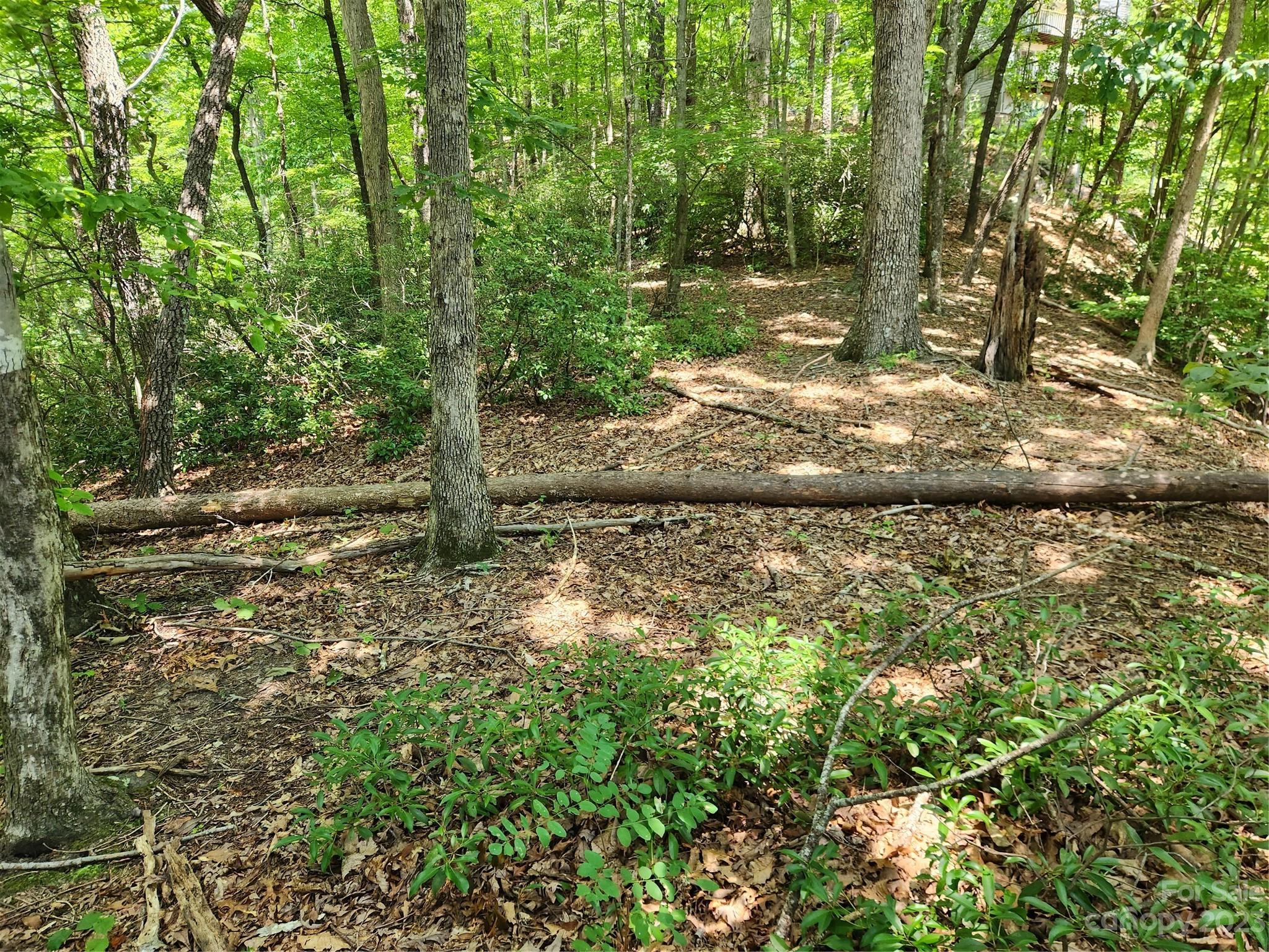 101 Banjo Court Unit 124 125