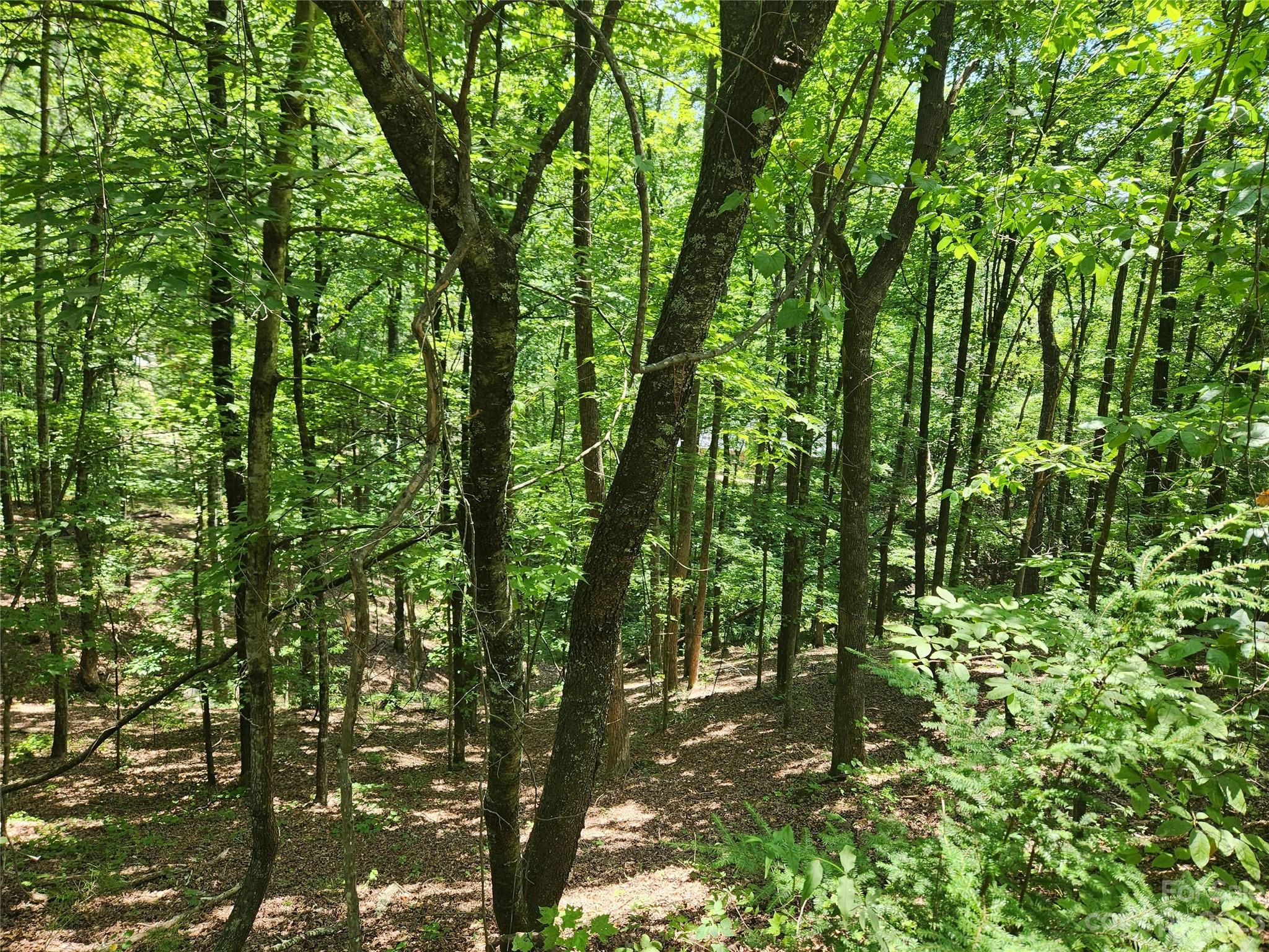 88 Walnut Lane Unit 81 82  