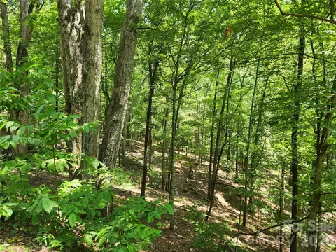 Walnut Lane, Lake Lure, NC 28746