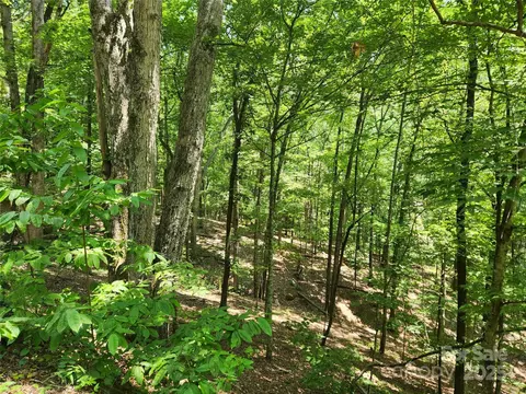 Walnut Lane, Lake Lure, NC 28746