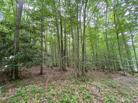 Buckeye Ridge 7 Road #7, Beech Mountain, NC 28604