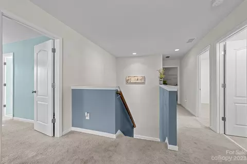 10646 Sapphire Trl, Davidson, NC 28036 photo 19