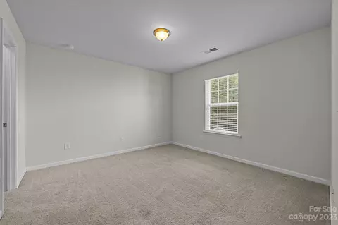 10646 Sapphire Trl, Davidson, NC 28036 photo 27