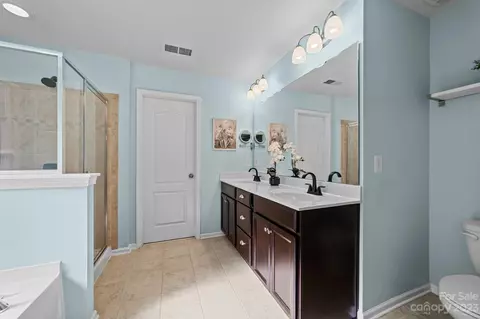 10646 Sapphire Trl, Davidson, NC 28036 photo 20