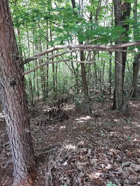 Killarney Drive, Columbus, NC 28722 photo 8