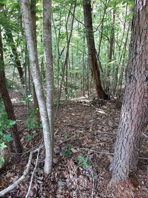 Killarney Drive, Columbus, NC 28722 photo 7