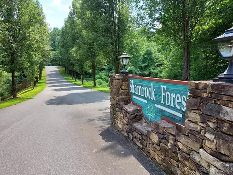Killarney Drive, Columbus, NC 28722 photo 4