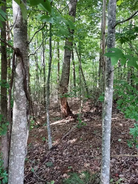 Killarney Drive, Columbus, NC 28722 photo 9