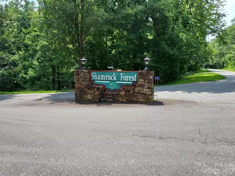 Killarney Drive, Columbus, NC 28722 photo 3