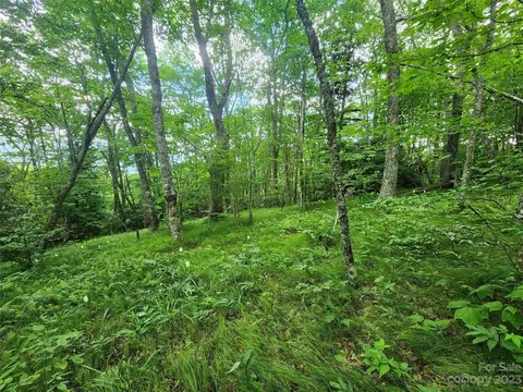 0 Spruce Patch 182 Ln #1.82, Sylva, NC 28779 photo 4