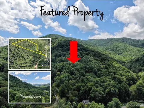 Cruso Road, Canton, NC 28716