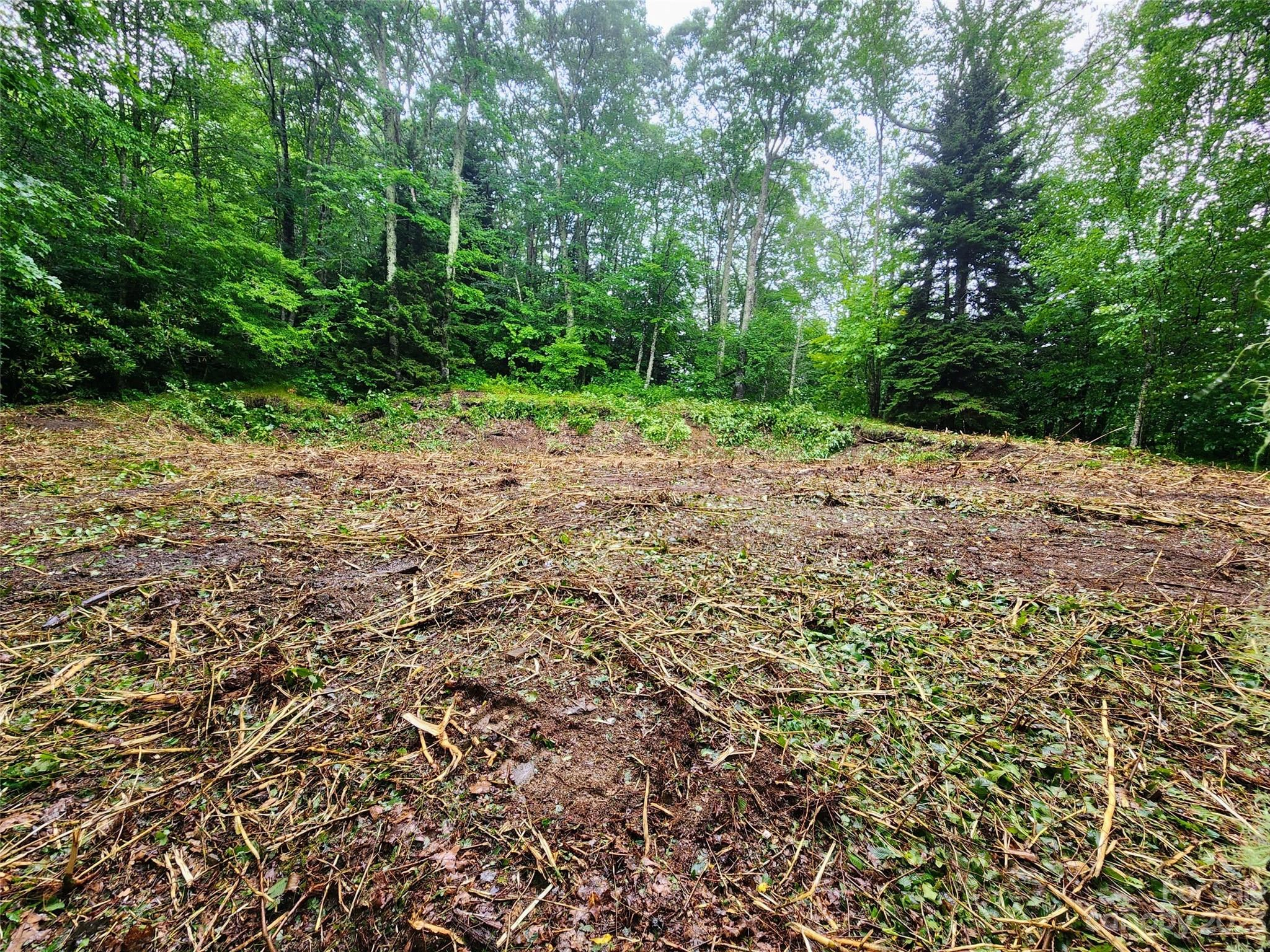 000 Spruce Patch 15 Ln Unit 1 5  