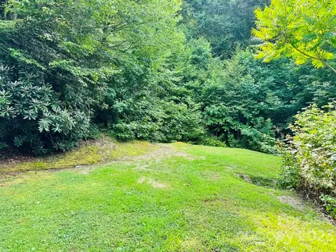 7019 Crabtree Rd, Spruce Pine, NC 28777 photo 23