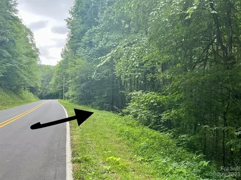 1 Trammel Gap Road #LOT 1, Saluda, NC 28773