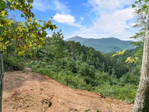 Sirl Lane, Burnsville, NC 28714