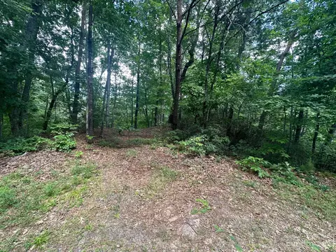 0000 Justice Dr, Lake Lure, NC 28746