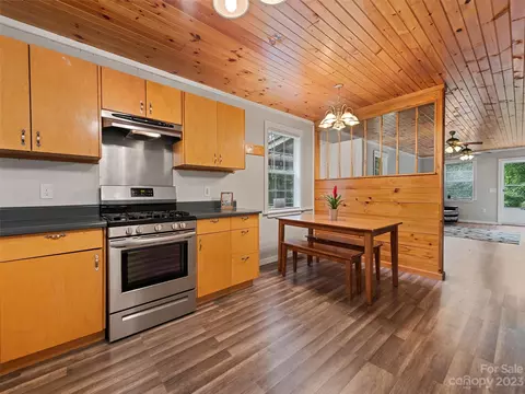 70 Cardinal Ln, Clyde, NC 28721 photo 19
