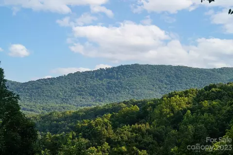 1715 Hogback Mountain Rd, Tryon, NC 28782 photo 43