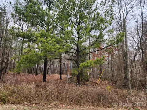 363 Dovefield Ln, Pageland, SC 29728