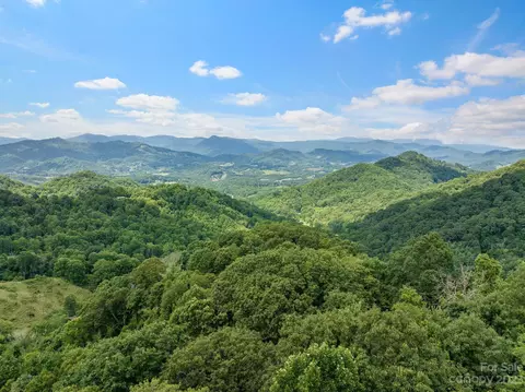 0000000 Big Branch Rd, Clyde, NC 28721 photo 14
